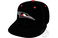 Delmarva Shorebirds (2021 - Pres)