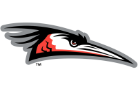 Delmarva Shorebirds Logo
