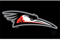 Delmarva Shorebirds (2021 - Pres)
