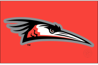 Delmarva Shorebirds (2021 - Pres)