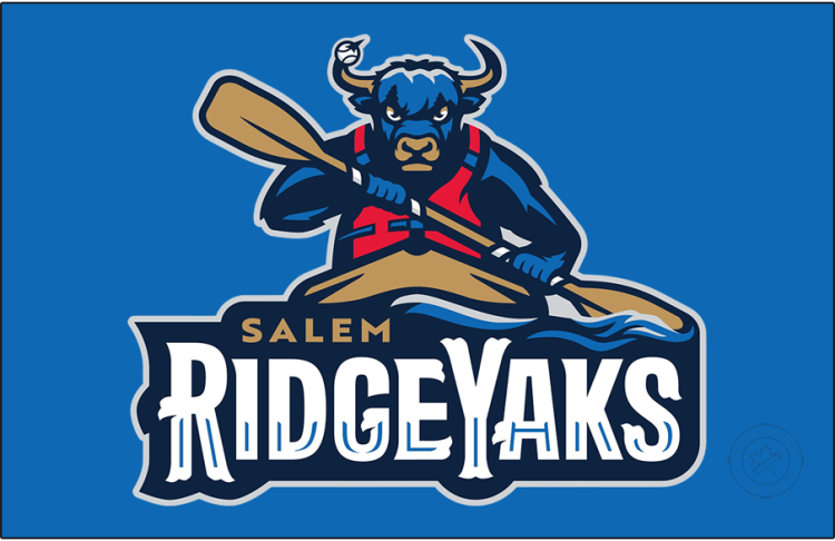 Salem RidgeYaks Logo Primary Dark Logo (2026-Pres) - The Salem RidgeYaks logo features a blue yak with beige horns and a red life jacket paddling in a kayak. A baseball is impaled on one horn. SportsLogos.Net