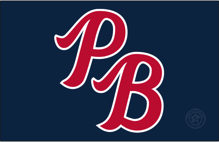 Palm Beach Cardinals Logo Cap Logo (2003-2014) - The Palm Beach Cardinals road cap logo from 2003 to 2014 featured 