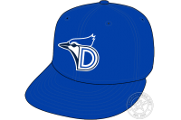 Dunedin Blue Jays (2012 - Pres)