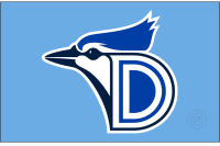 Dunedin Blue Jays (2024 - Pres)