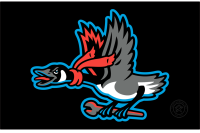 Beloit Sky Carp (2022 - Pres)