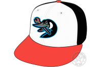 Beloit Sky Carp (2022 - Pres)