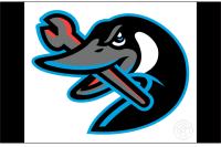 Beloit Sky Carp (2022 - Pres)