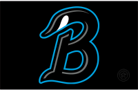 Beloit Sky Carp (2022 - Pres)