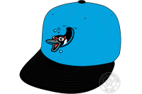 Beloit Sky Carp (2022 - Pres)