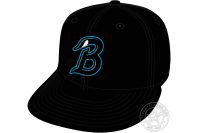 Beloit Sky Carp (2022 - Pres)