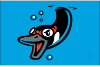 Beloit Sky Carp (2022 - Pres)