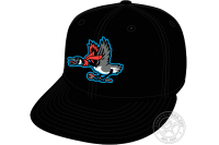 Beloit Sky Carp (2022 - Pres)