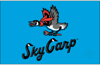 Beloit Sky Carp (2022 - Pres)