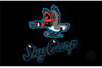 Beloit Sky Carp (2022 - Pres)