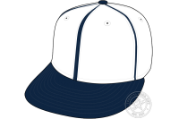 Chicago White Sox (2006 - 2006)