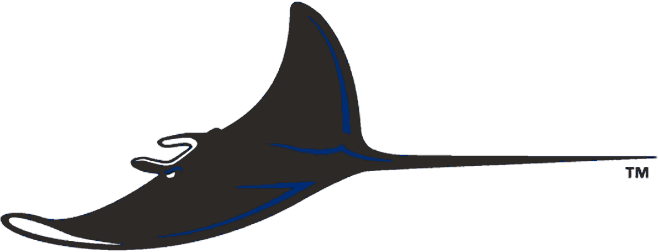 Tampa Bay Devil Rays Logo Alternate Logo (2001-2007) - A swimming devil ray in black with blue accents SportsLogos.Net Tampa Bay Devil Rays Logo Alternate Logo (2001-2007) - A swimming devil ray in black with blue accents SportsLogos.Net