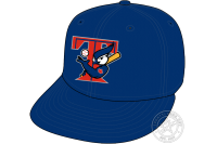Toronto Blue Jays (2001 - 2003)