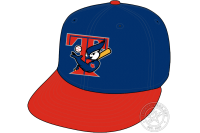 Toronto Blue Jays (2003 - 2003)