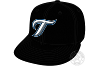Toronto Blue Jays (2007 - 2011)
