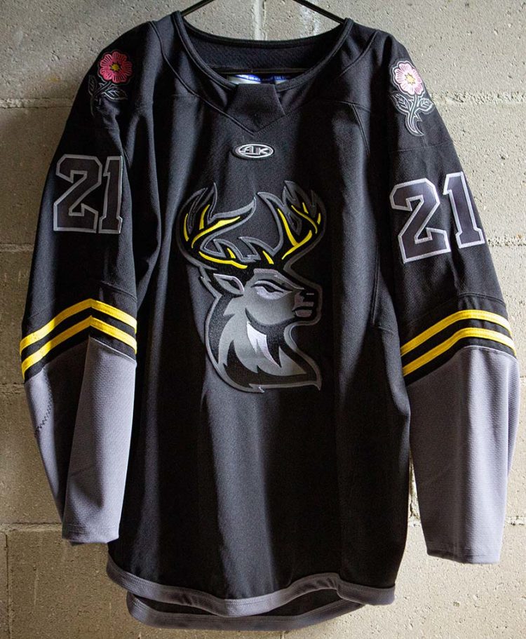 ECHL's Iowa Heartlanders Unveil New Uniforms – SportsLogos.Net News