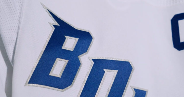 Tampa Bay Lightning Stadium Series Jersey Revealed! 