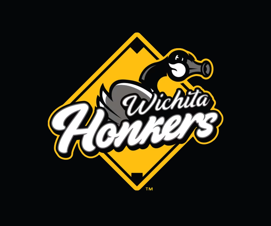 Wichita Wind Surge pay tribute to geese with Honkers identity